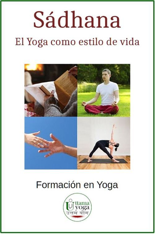 Varias personas en actividades relacionadas con el Yoga